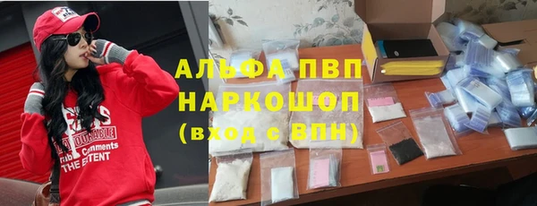 крисы Богородск