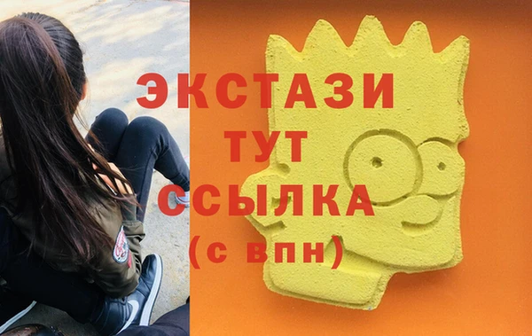 крисы Богородск