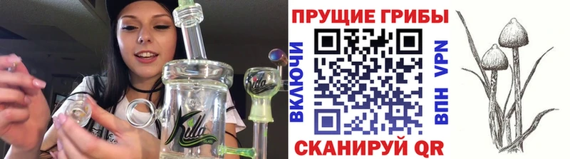 mega как зайти  цена   Мосальск  Галлюциногенные грибы мицелий 